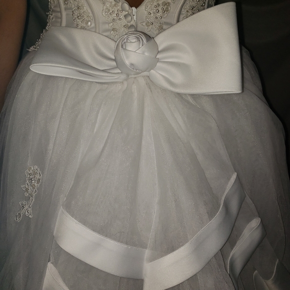 Wedding Dress - Picture 4 of 7